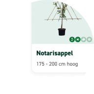 Doneer jouw punten aan een lokaal project of spaar voor je eigen boom